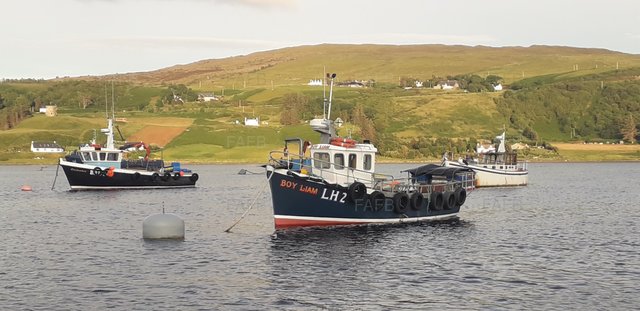 Large picture for advert 104808