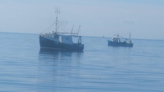 Large picture for advert 99658