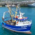 Extra picture for advert 114408